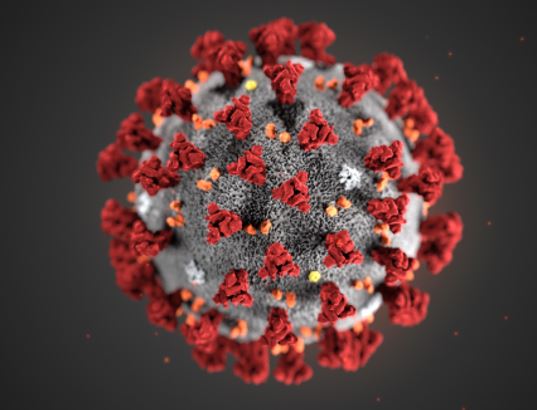 Virus-Corona-03-2020
